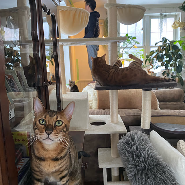 jamさんの実例写真