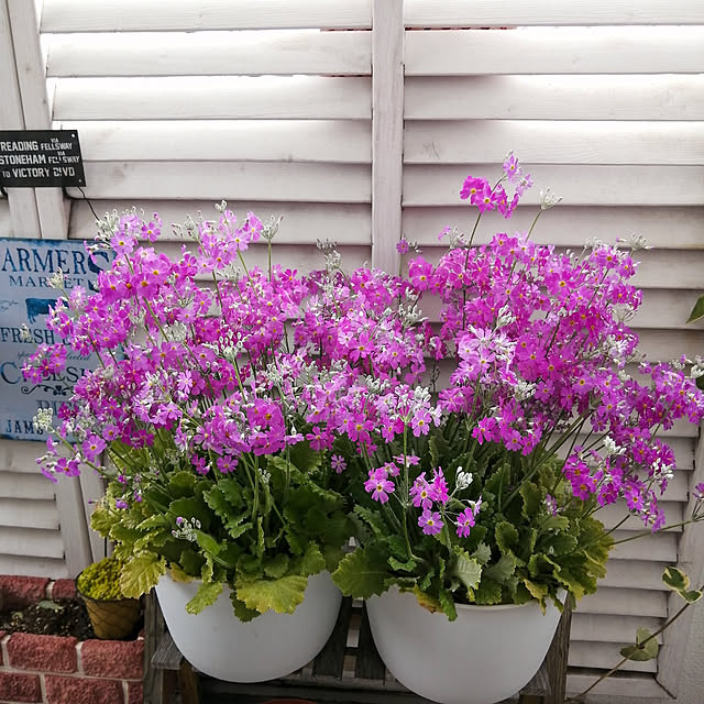 VERANDARJUNさんの実例写真