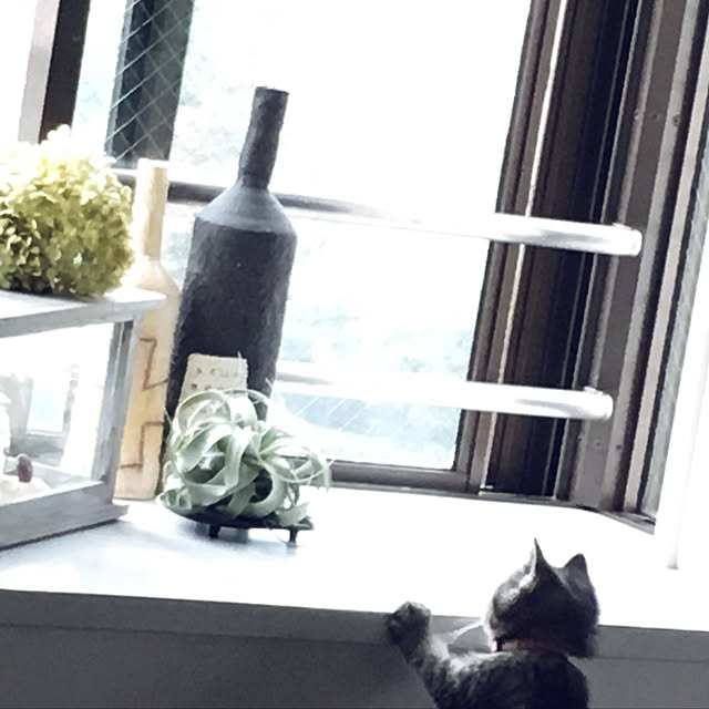 monsoonさんの実例写真