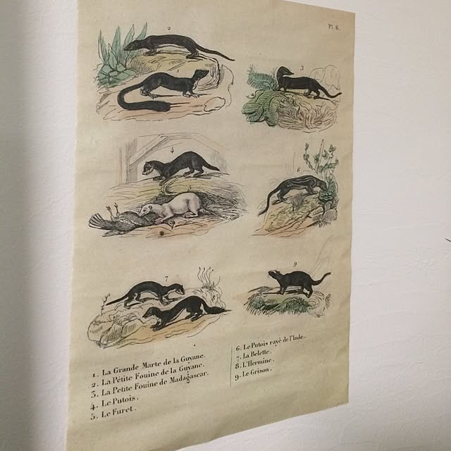 Megnosuke.さんの実例写真