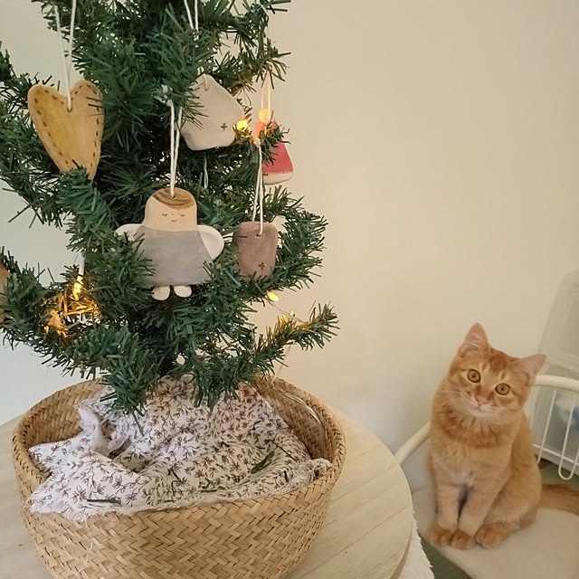 mayutan.さんの部屋