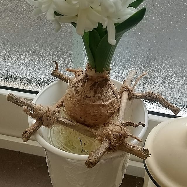 Rさんの部屋