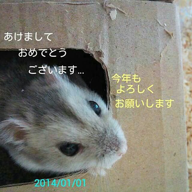 SAYOさんの実例写真