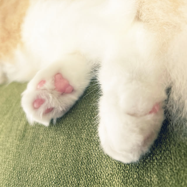 junさんの部屋