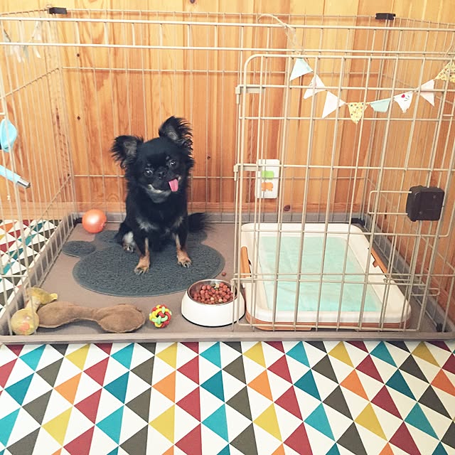 chiekkoさんの実例写真