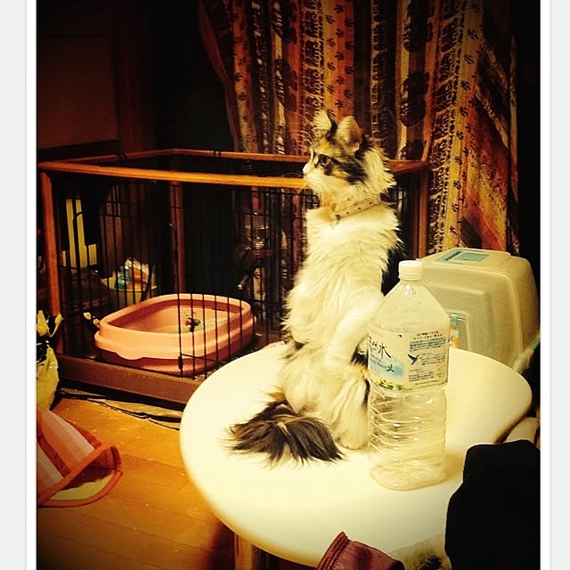 Realiser_son_reveさんの実例写真