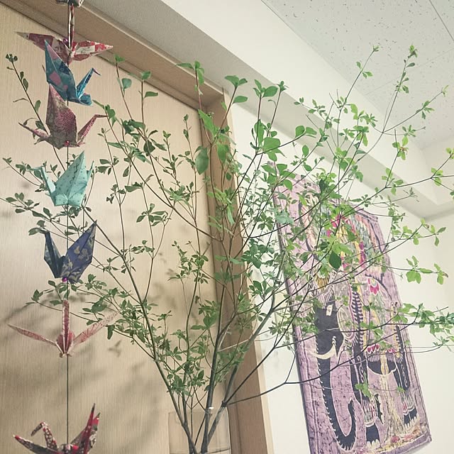 ganeshさんの実例写真