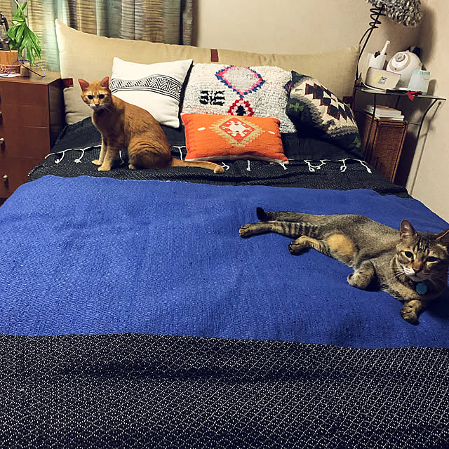 gaacoさんの実例写真