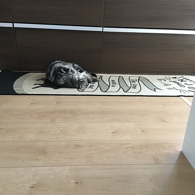 richanさんの実例写真