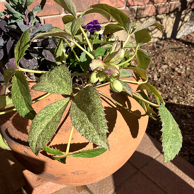 ikubooさんの部屋