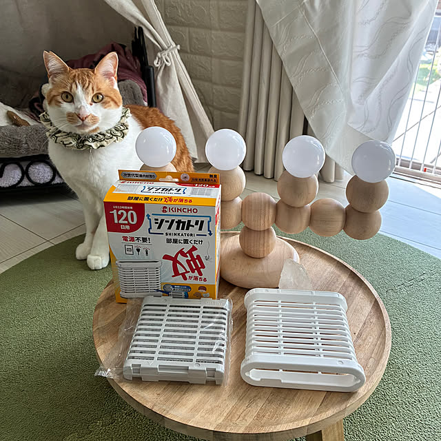 mikenekoさんの部屋