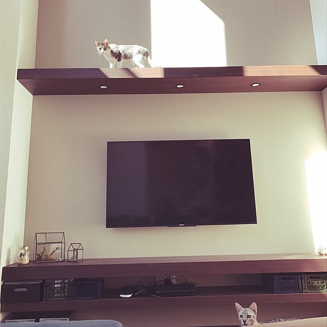pepperさんの実例写真