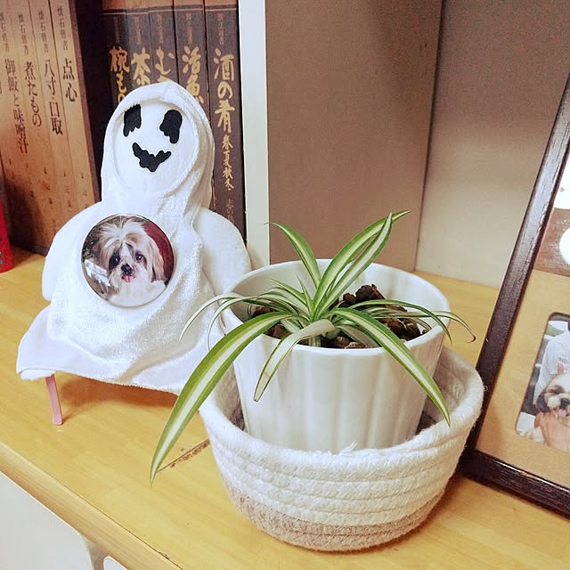 emibutaさんの実例写真