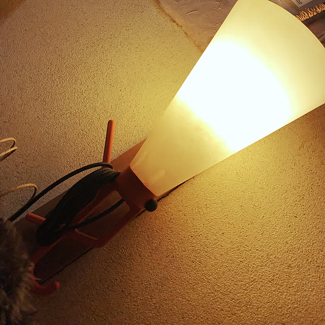 karinnさんの実例写真