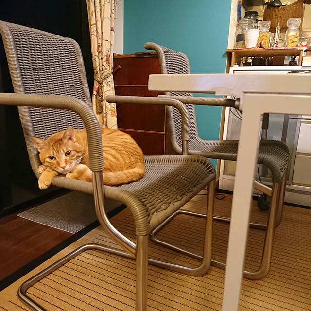 okyosan101さんの実例写真