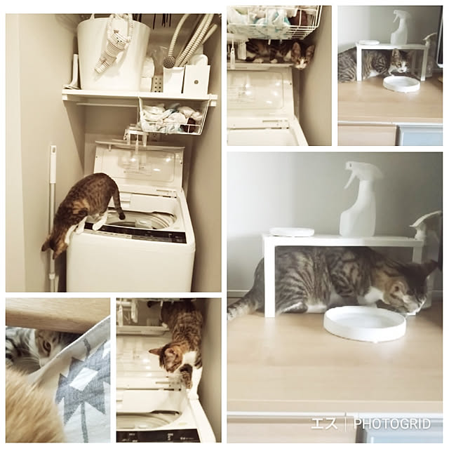 hanacocoさんの実例写真