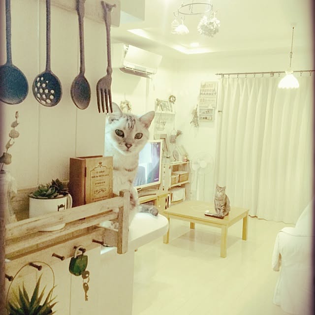 ayaさんの実例写真
