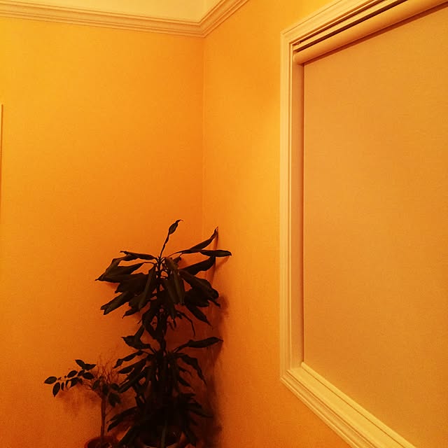 matthewsgrillさんの実例写真