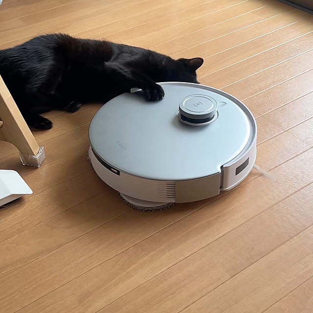 rioさんの実例写真