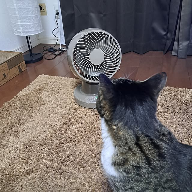 shinoさんの部屋