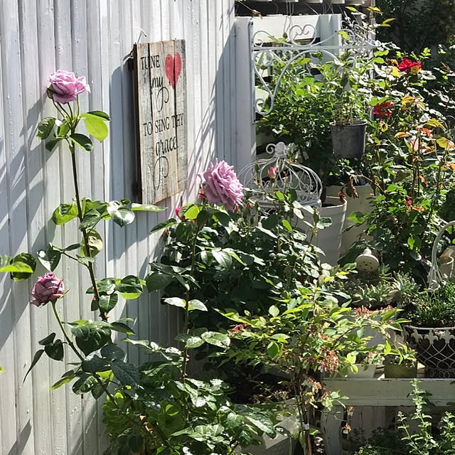 hideさんの実例写真