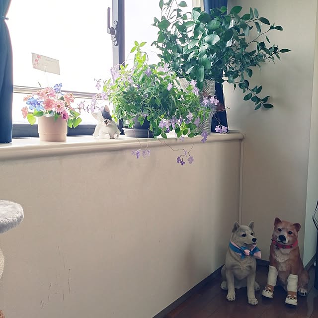 NOAHさんの部屋