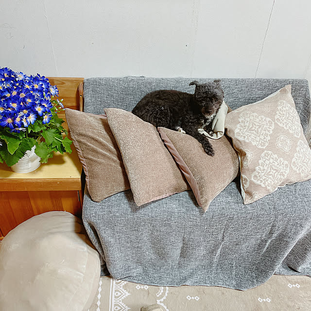 Chipさんの実例写真