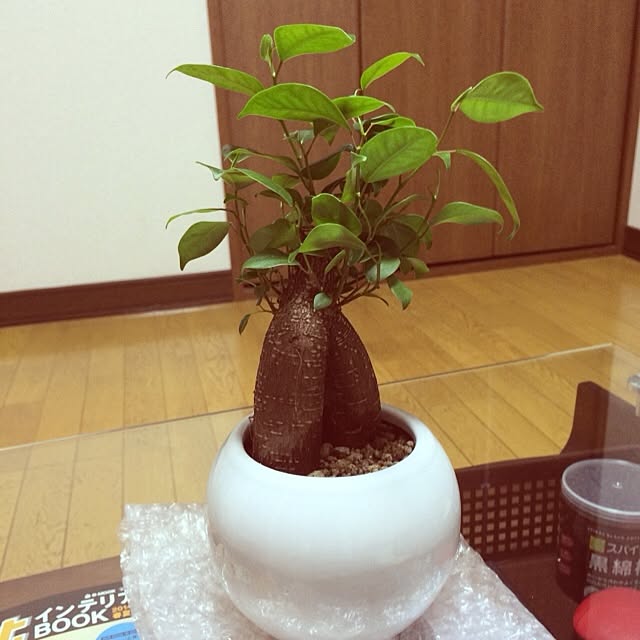 newsourさんの実例写真