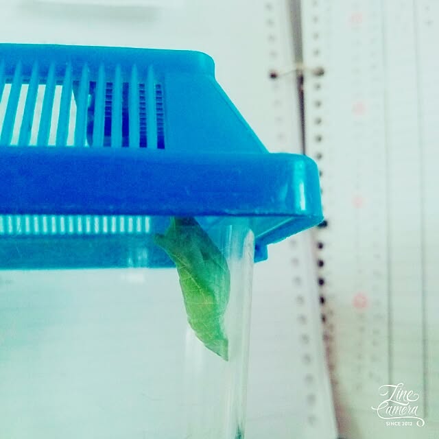 yun0603さんの実例写真