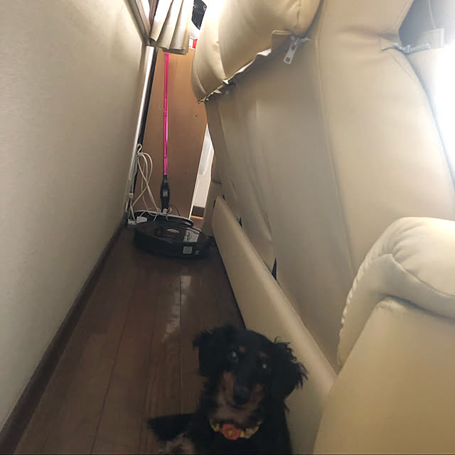 machiさんの実例写真