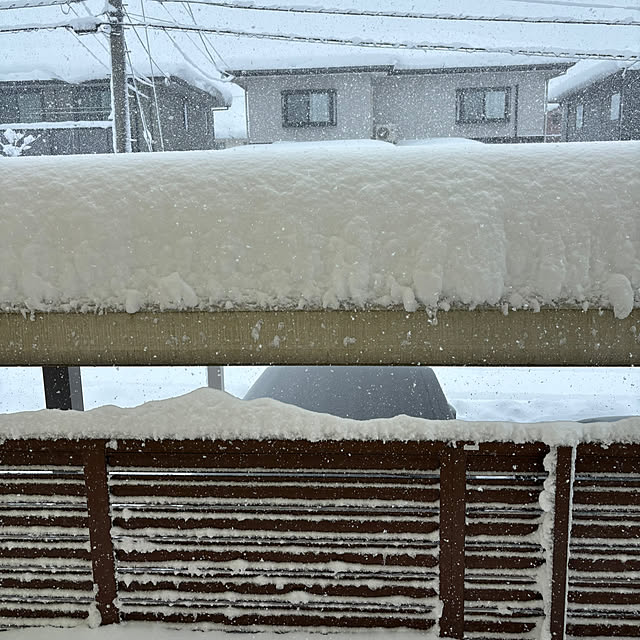 ajisaiさんの部屋