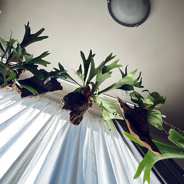 yukarin-gardenさんの部屋