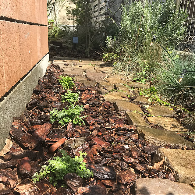chachaharuloveさんの実例写真