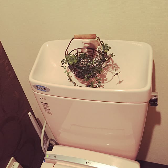 ki-koさんの実例写真