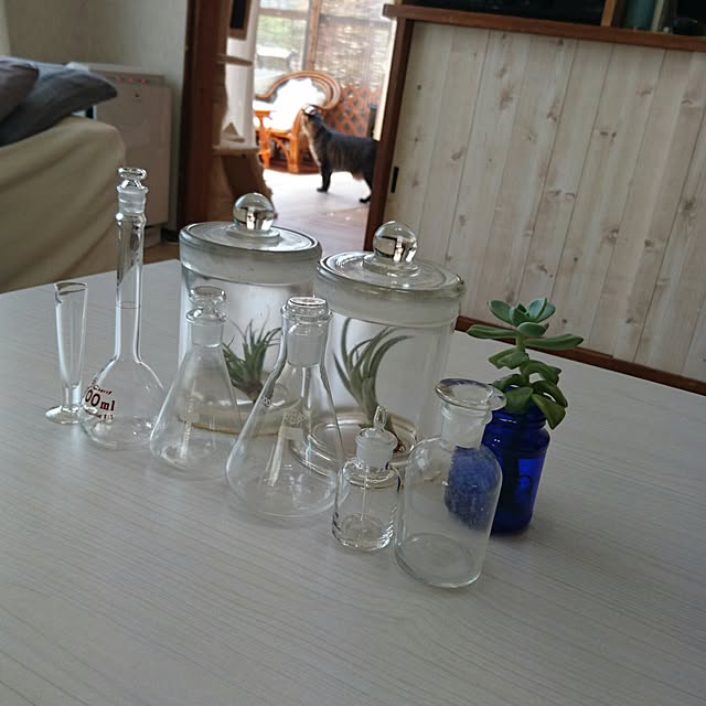 taleo07さんの実例写真