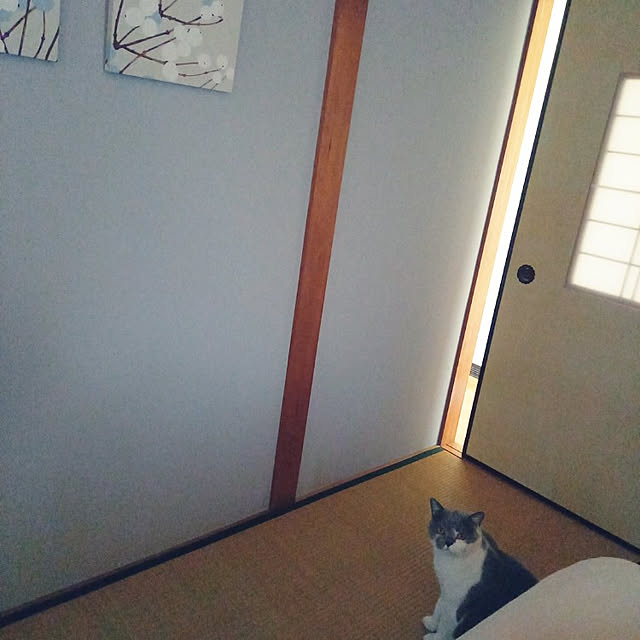 rhuさんの実例写真