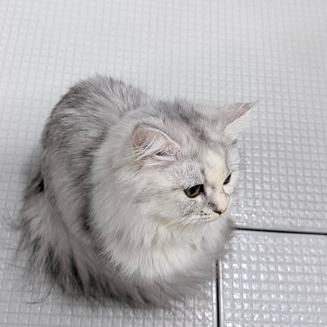 mya___kさんの実例写真