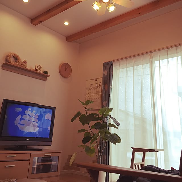 umiclipさんの実例写真