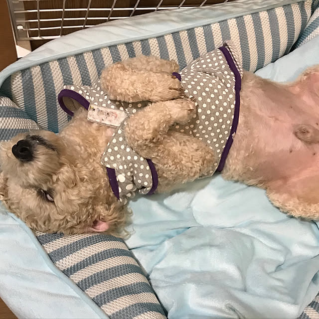 yuki89さんの実例写真