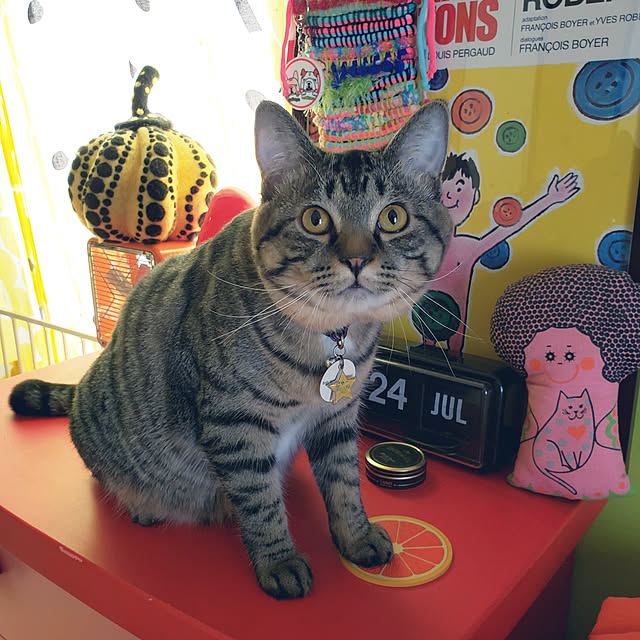 ayucchiさんの実例写真