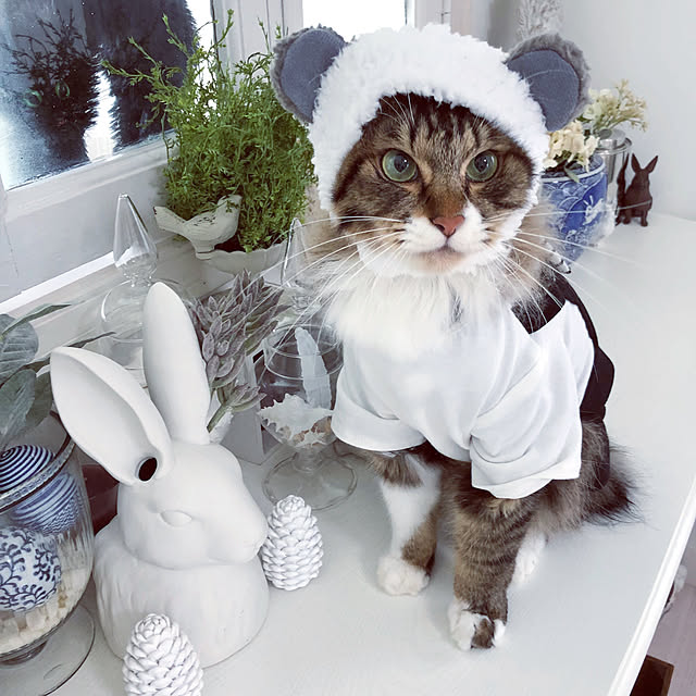 yuchiさんの実例写真