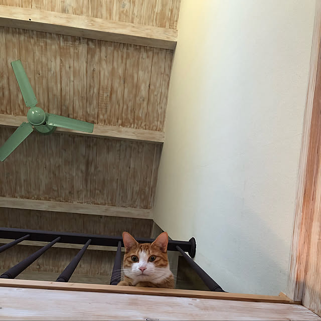 akaneさんの実例写真