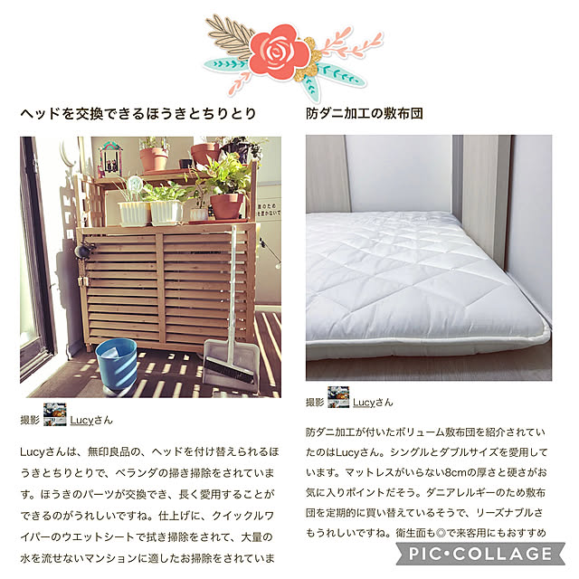 Lucyさんの実例写真