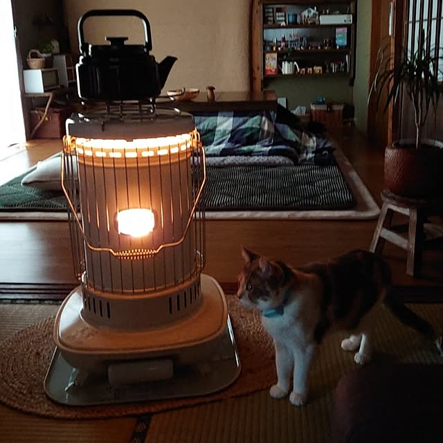 fukuさんの部屋