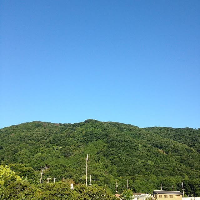 玄関/入り口/緑と空の色/山/景色が好き/うちじゃないけどのインテリア実例 - 2016-06-05 22:59:59