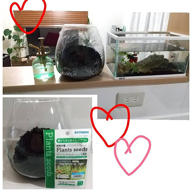 aiyuujiyuaさんの実例写真