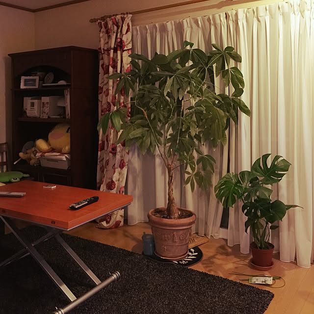 satobanさんの実例写真