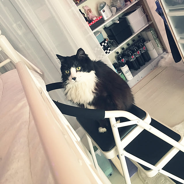 kanaさんの実例写真