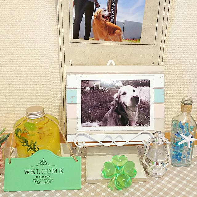 shelly-1227さんの実例写真