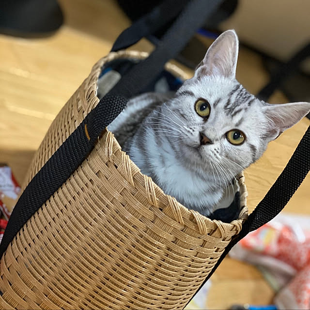 hanaさんの実例写真